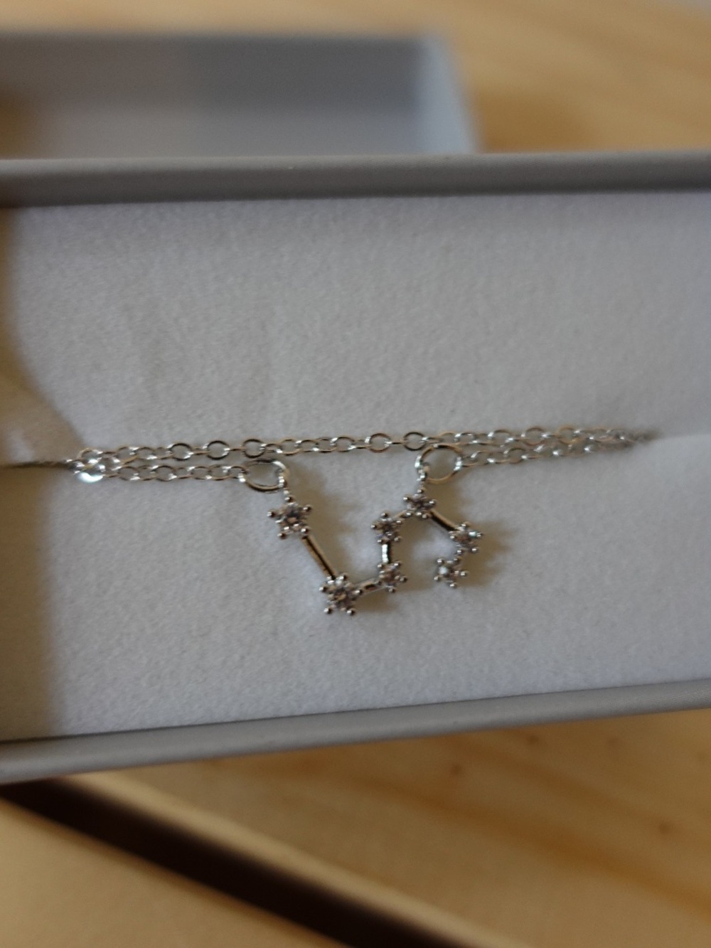 Silver Leo Zodiac Sign Astrology Necklace | Mignon and Mignon | NWT